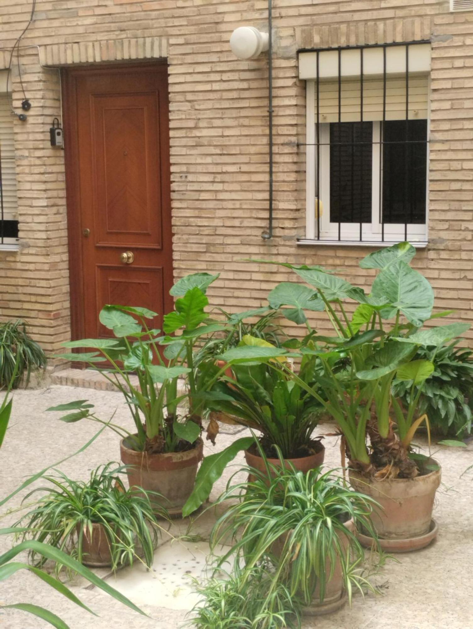 La Casa De Pepa Apartment Seville Exterior photo